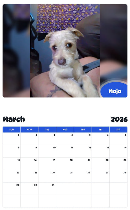 November 2025 - October 2026 Mojo - Pawidols Pet Calendar
