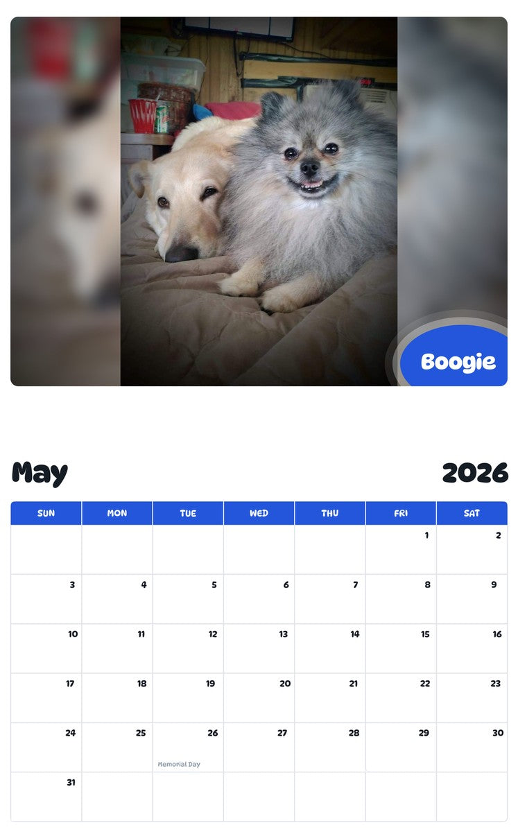 2026 - 2027 Boogie - Pawidols Pet Calendar
