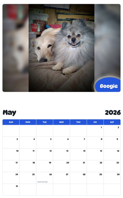 2026 - 2027 Boogie - Pawidols Pet Calendar