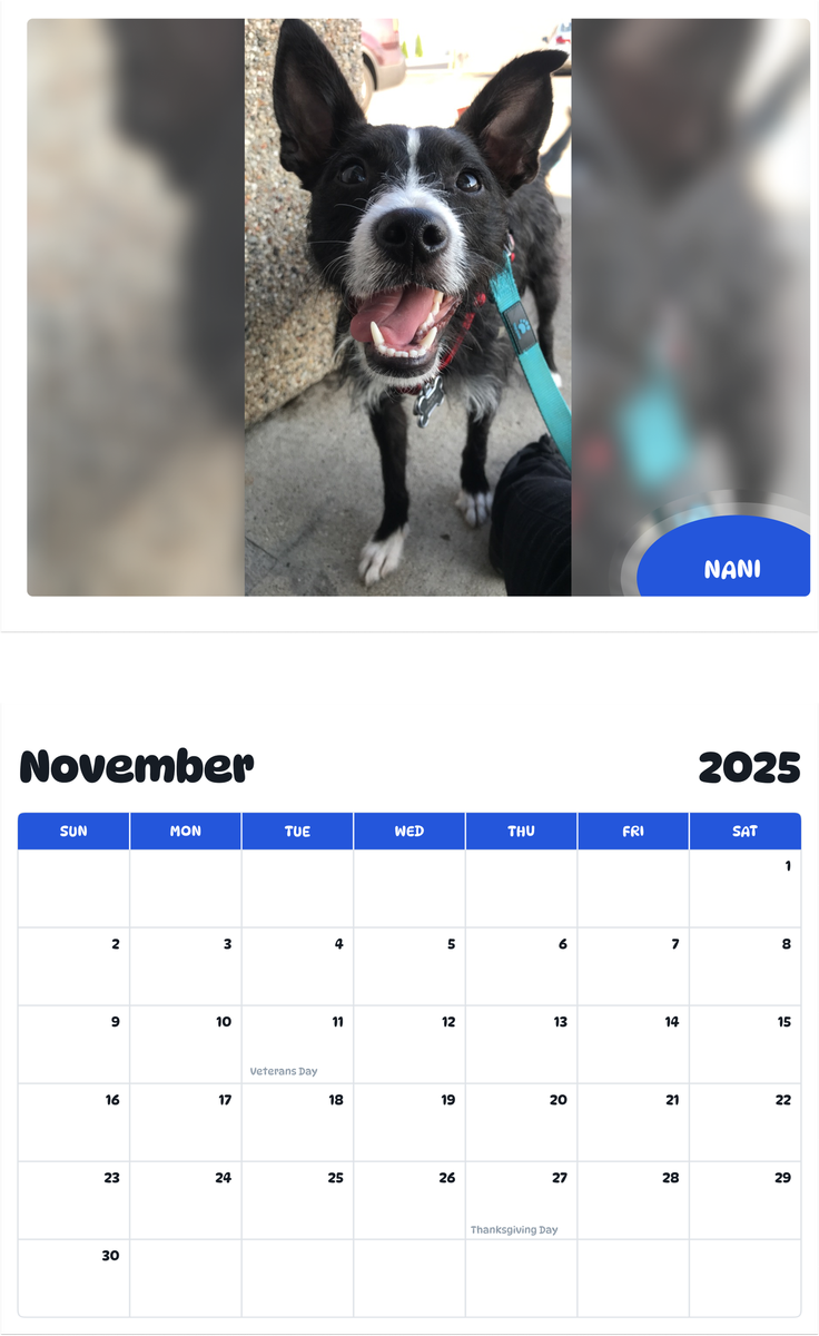 July 2025 - June 2026 Nani - Pawidols Pet Calendar