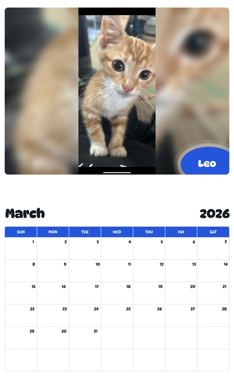 November 2025 - October 2026 Leo - Pawidols Pet Calendar