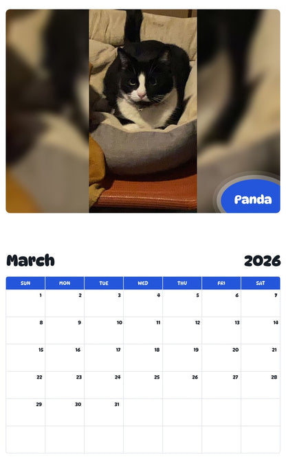 November 2025 - October 2026 Panda - Pawidols Pet Calendar
