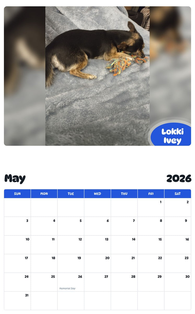 2026 - 2027 Lokki Ivey - Pawidols Pet Calendar