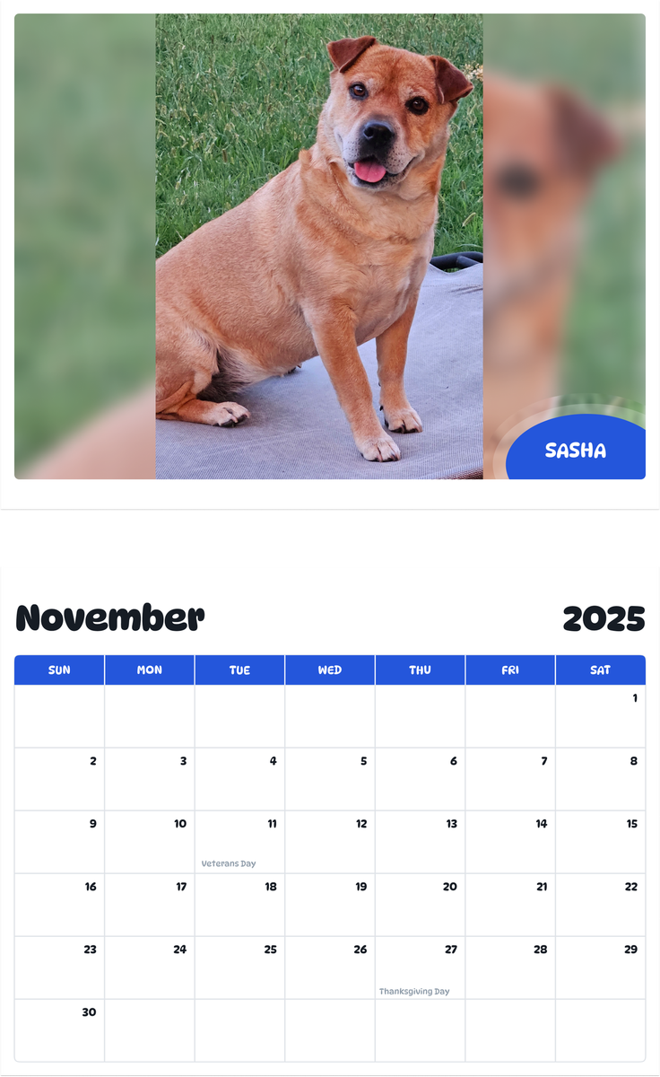July 2025 - June 2026 Sasha - Pawidols Pet Calendar