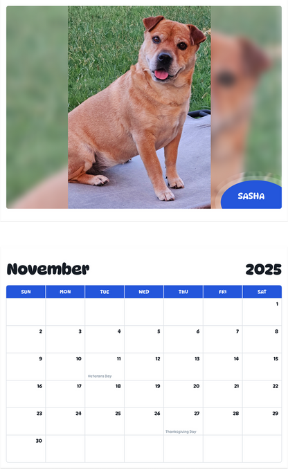 July 2025 - June 2026 Sasha - Pawidols Pet Calendar