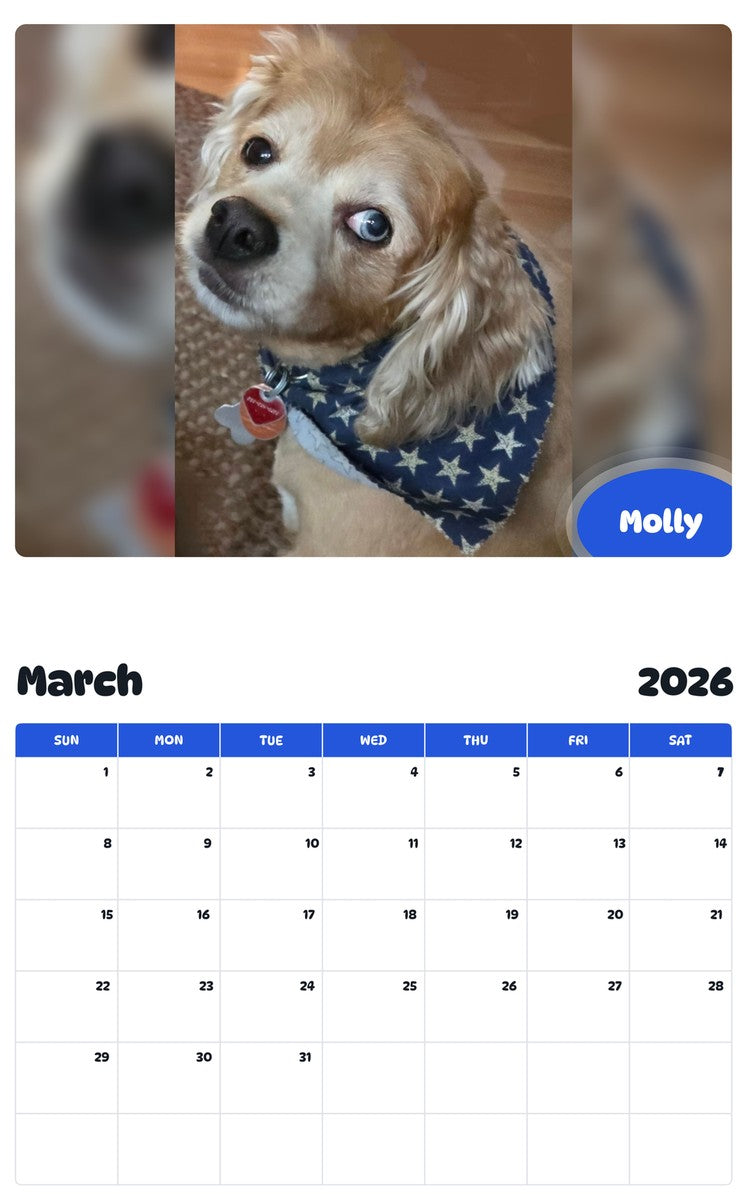 November 2025 - October 2026 Molly - Pawidols Pet Calendar