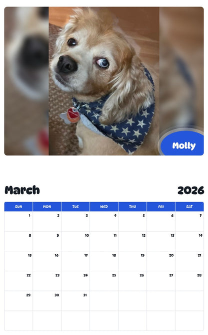 November 2025 - October 2026 Molly - Pawidols Pet Calendar