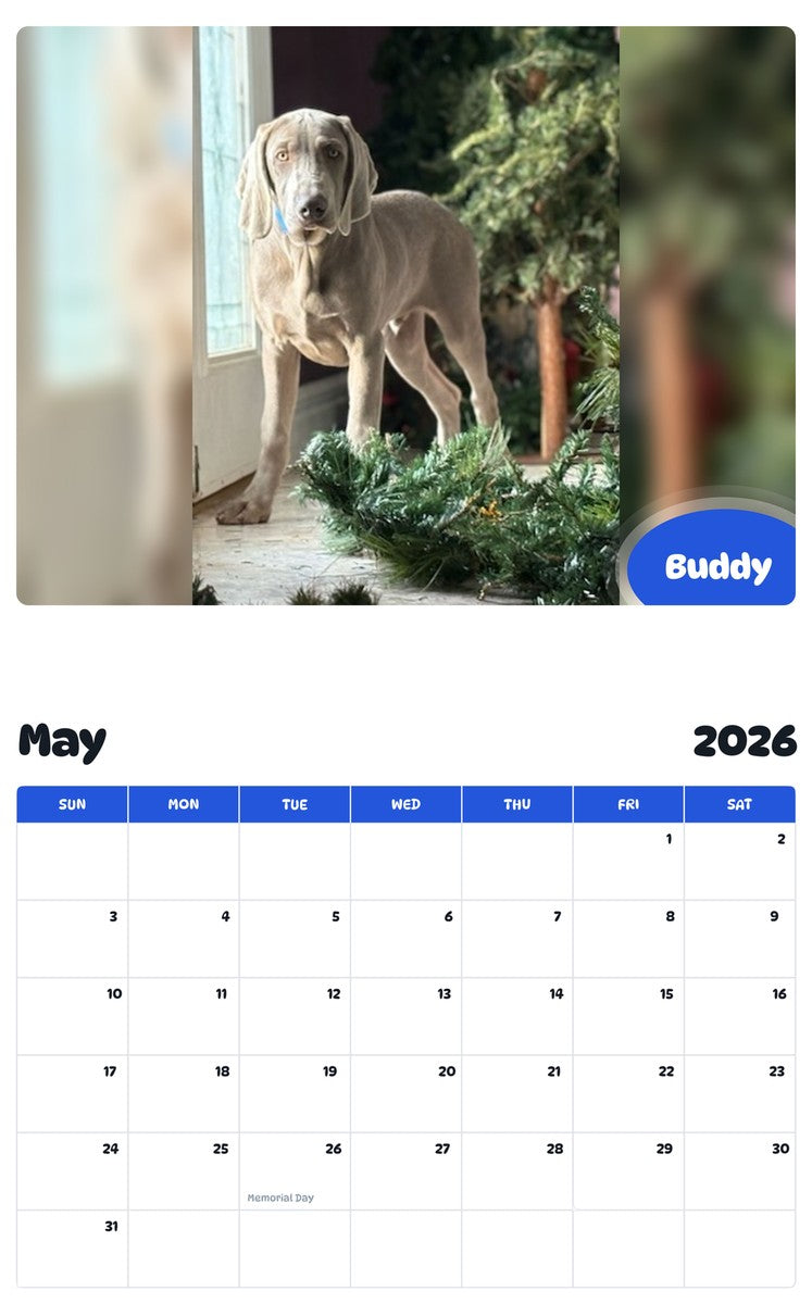 2026 - 2027 Buddy - Pawidols Pet Calendar