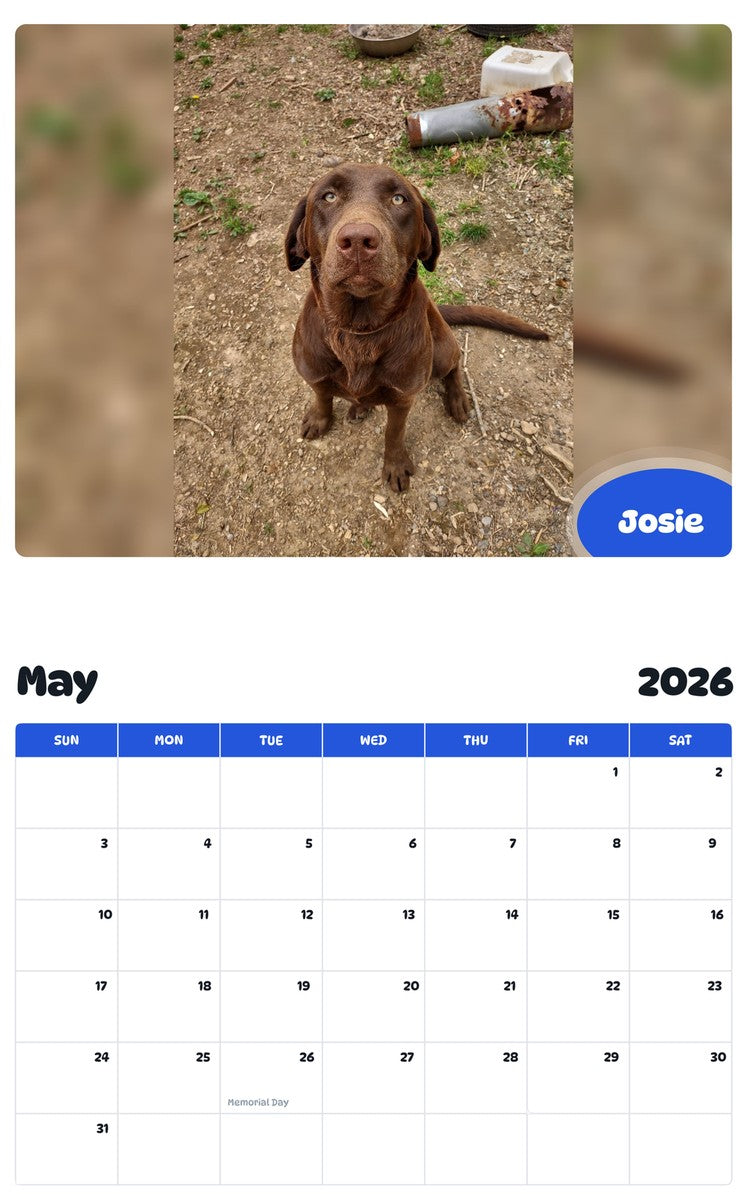 2026 - 2027 Josie - Pawidols Pet Calendar