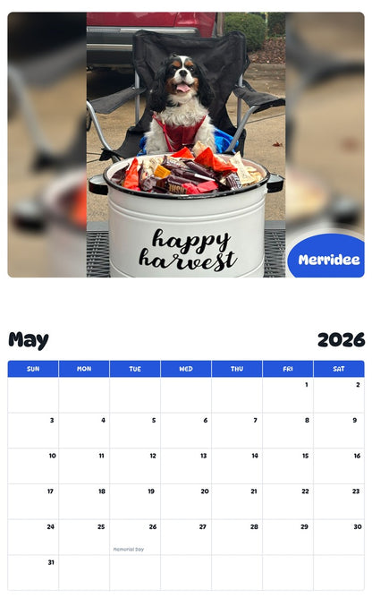 2026 - 2027 Merridee - Pawidols Pet Calendar