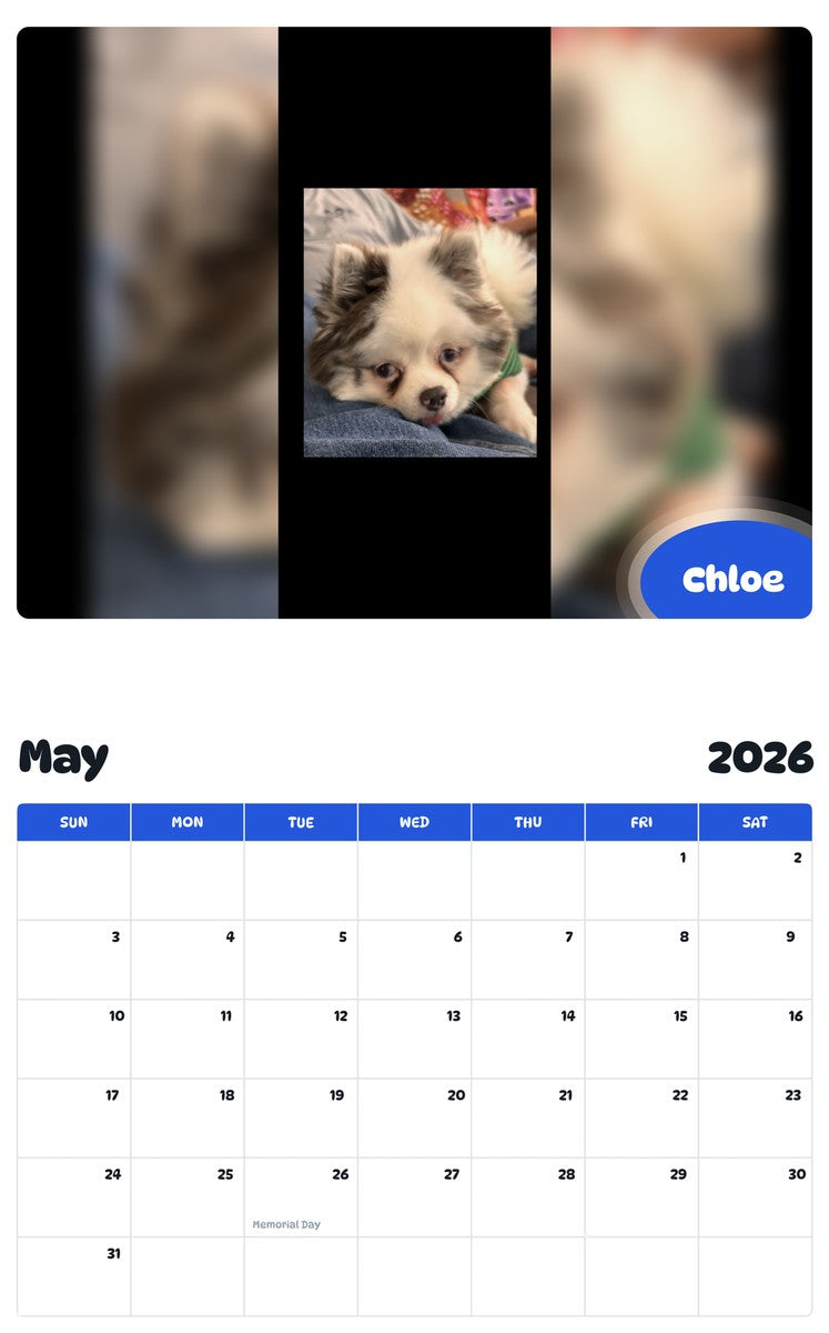 2026 - 2027 Chloe - Pawidols Pet Calendar