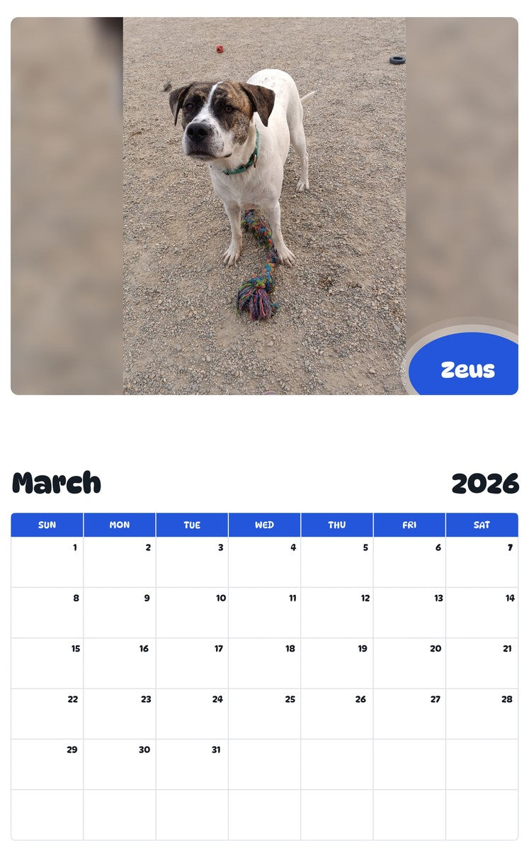 November 2025 - October 2026 Zeus - Pawidols Pet Calendar