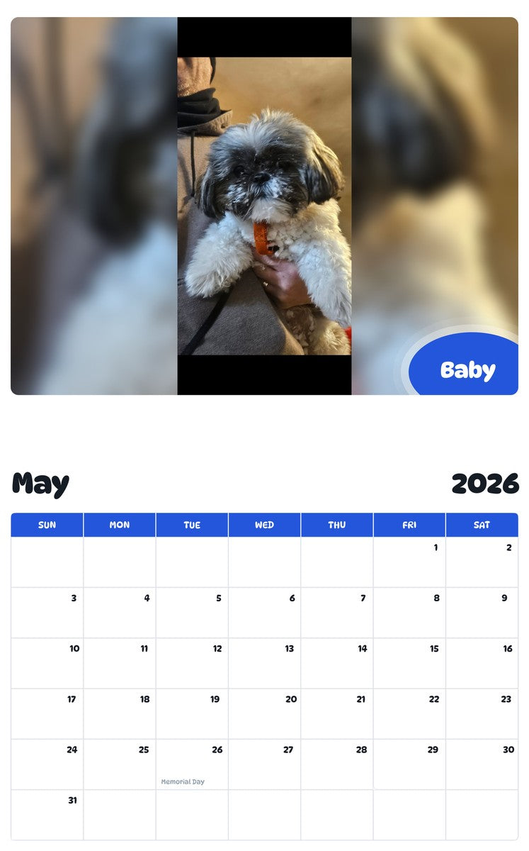 2026 - 2027 Baby - Pawidols Pet Calendar