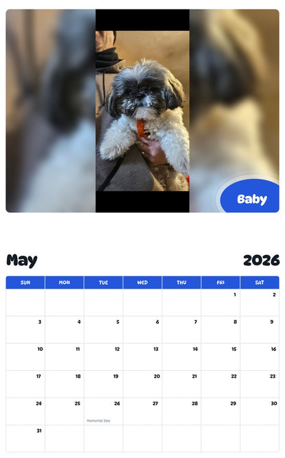 2026 - 2027 Baby - Pawidols Pet Calendar