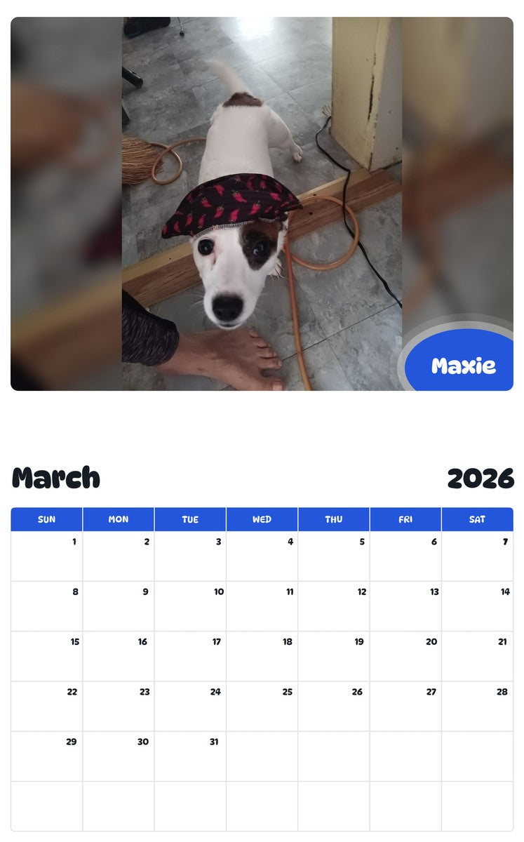 November 2025 - October 2026 Maxie - Pawidols Pet Calendar