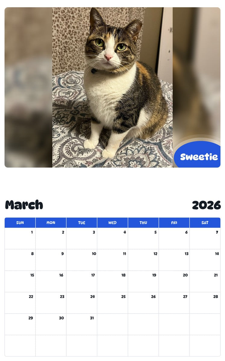 November 2025 - October 2026 Sweetie - Pawidols Pet Calendar