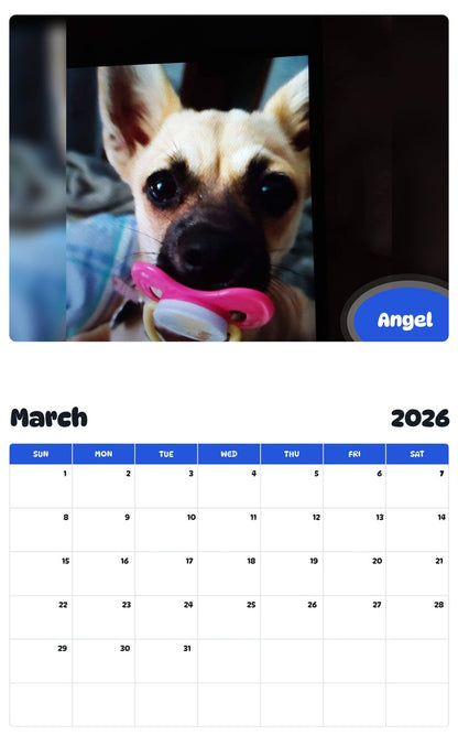 November 2025 - October 2026 Angel - Pawidols Pet Calendar