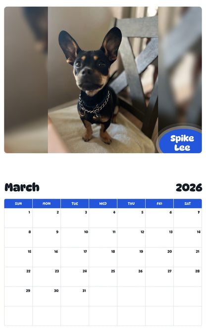 November 2025 - October 2026 Spike Lee - Pawidols Pet Calendar
