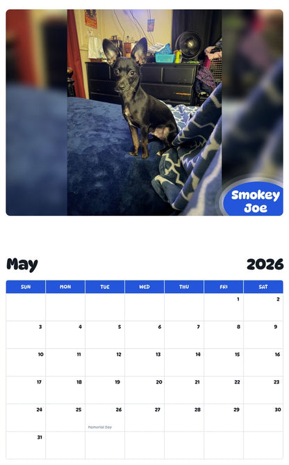 2026 - 2027 Smokey Joe - Pawidols Pet Calendar