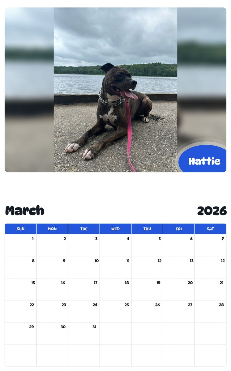 November 2025 - October 2026 Hattie - Pawidols Pet Calendar