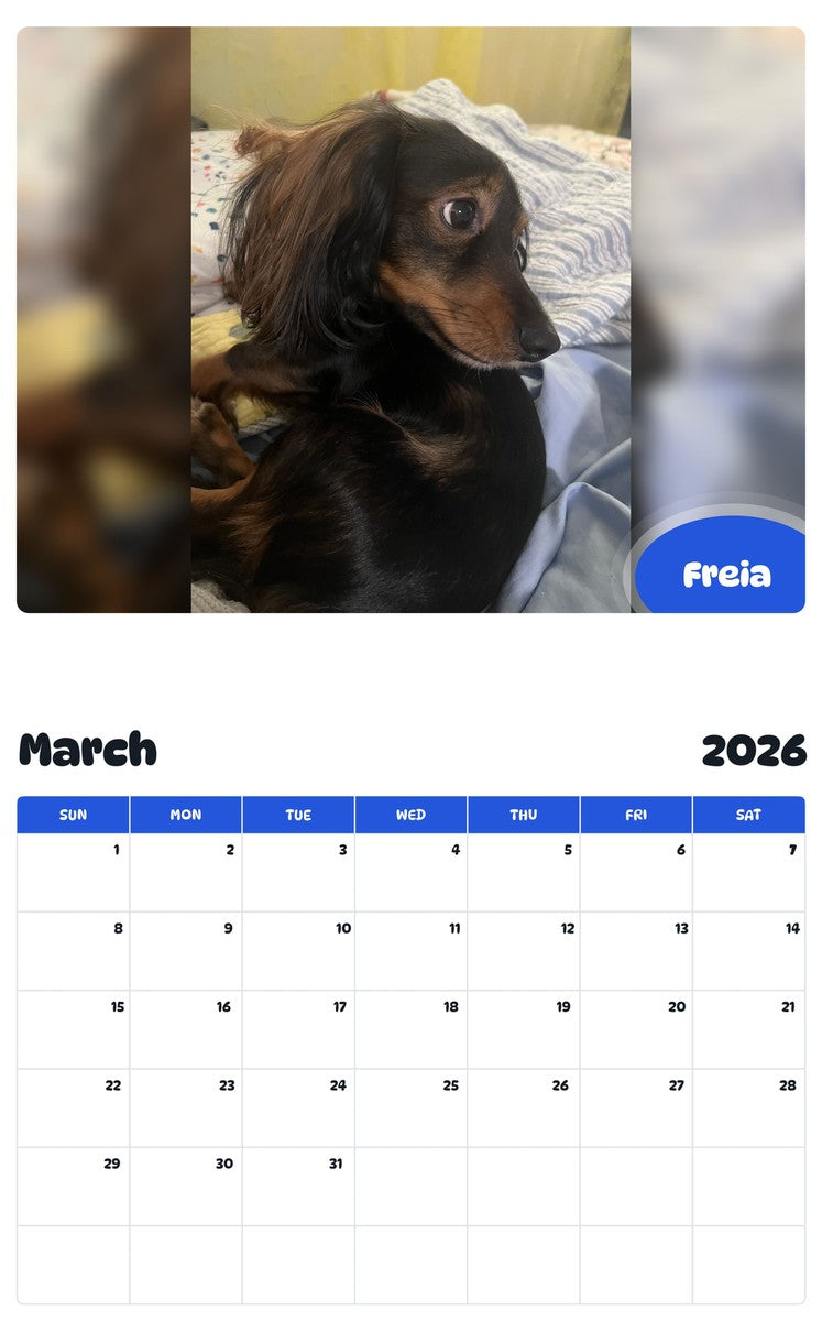 November 2025 - October 2026 Freia - Pawidols Pet Calendar