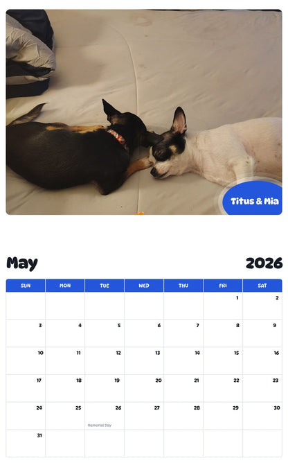 2026 - 2027 Titus & Mia - Pawidols Pet Calendar