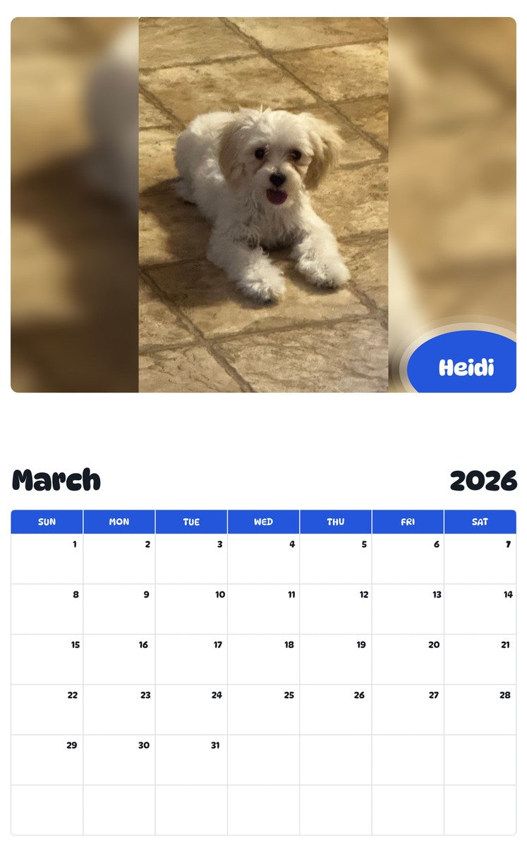 November 2025 - October 2026 Heidi - Pawidols Pet Calendar
