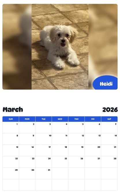 November 2025 - October 2026 Heidi - Pawidols Pet Calendar