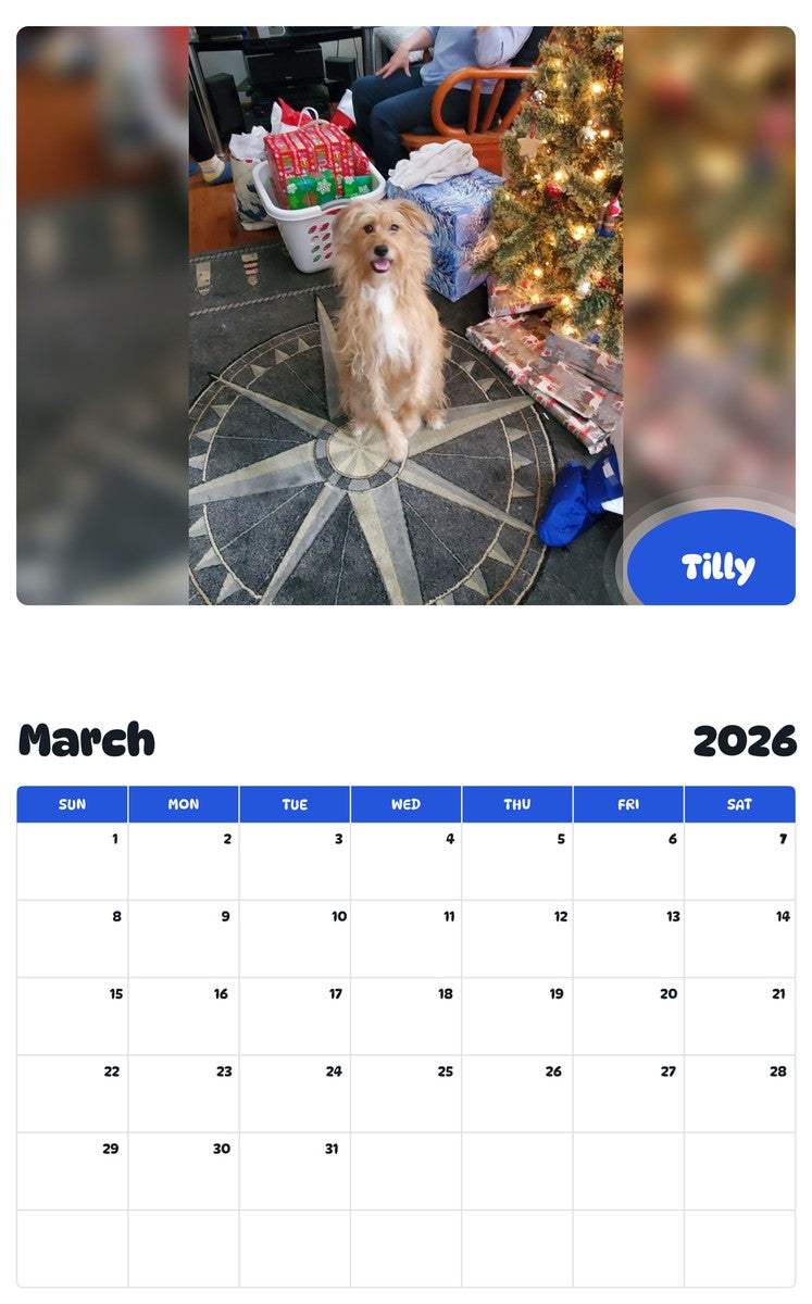 November 2025 - October 2026 Tilly - Pawidols Pet Calendar