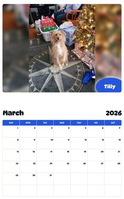 November 2025 - October 2026 Tilly - Pawidols Pet Calendar
