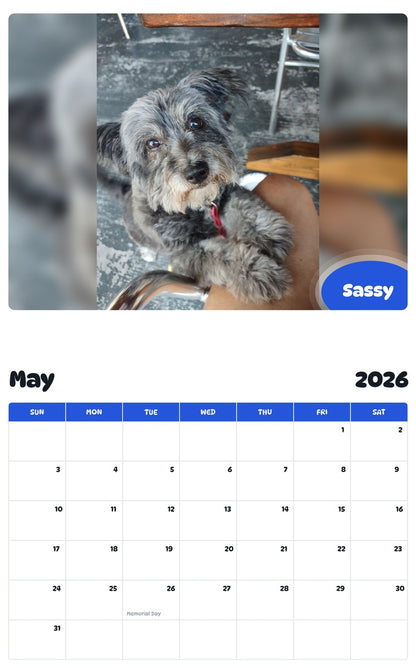 2026 - 2027 Sassy - Pawidols Pet Calendar
