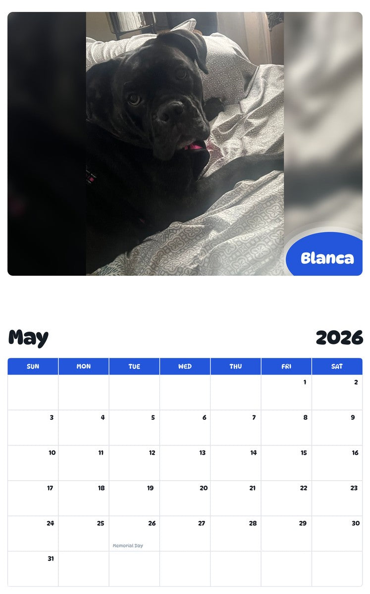 2026 - 2027 Blanca - Pawidols Pet Calendar
