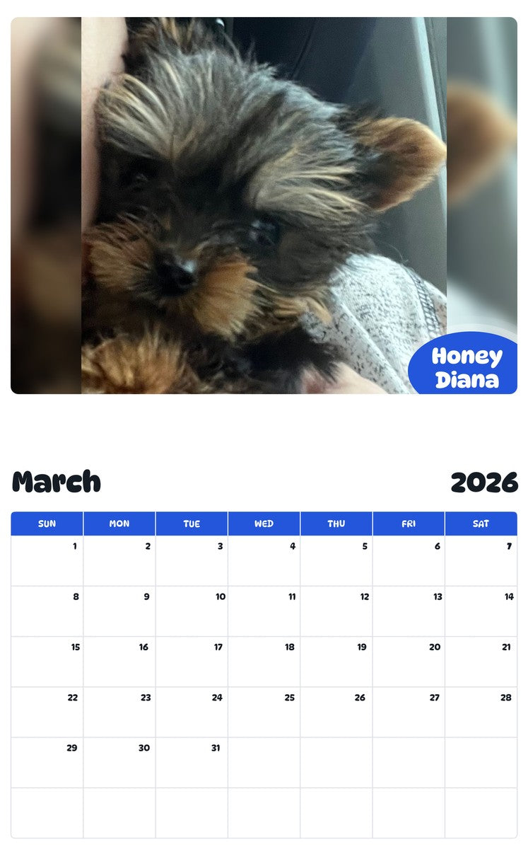 November 2025 - October 2026 Honey Diana - Pawidols Pet Calendar