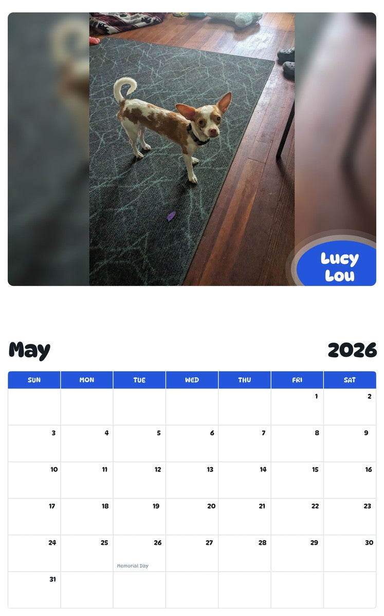 2026 - 2027 Lucy Lou - Pawidols Pet Calendar