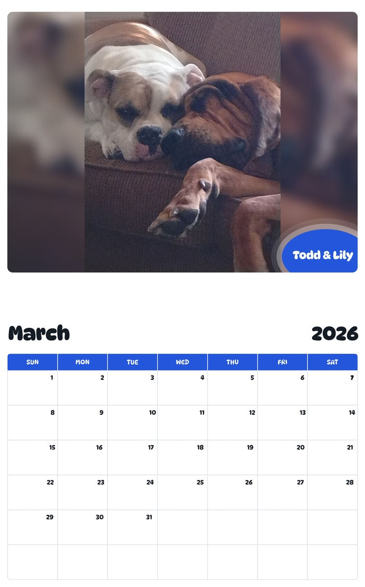 November 2025 - October 2026 Todd & Lily - Pawidols Pet Calendar