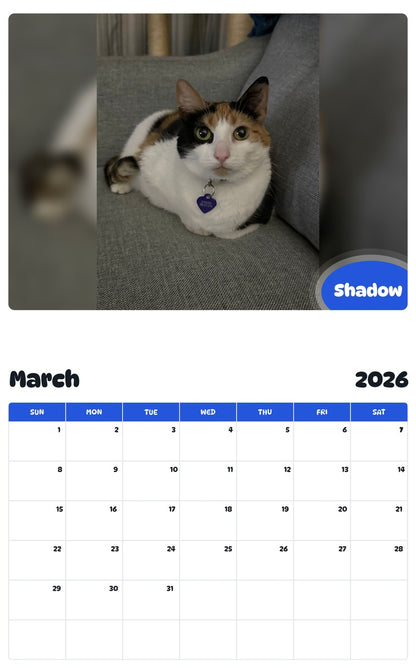November 2025 - October 2026 Shadow - Pawidols Pet Calendar
