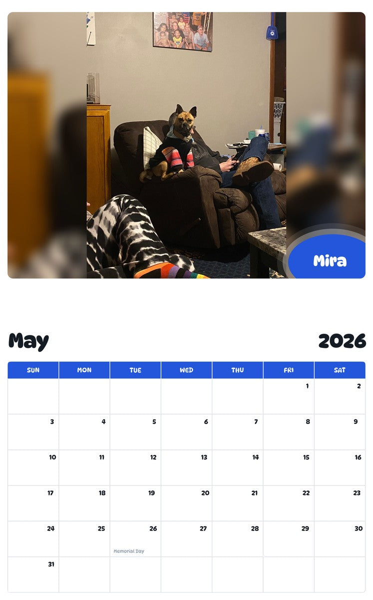2026 - 2027 Mira - Pawidols Pet Calendar