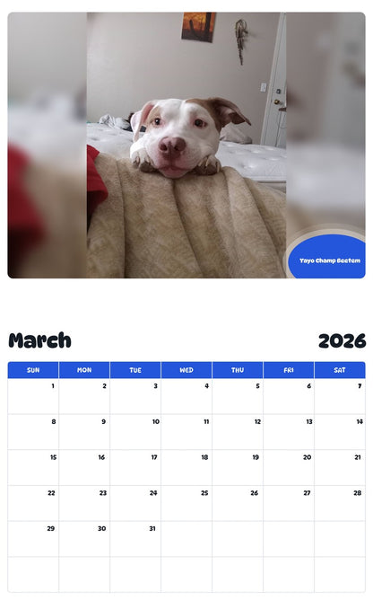 November 2025 - October 2026 Yayo Champ Beetem - Pawidols Pet Calendar
