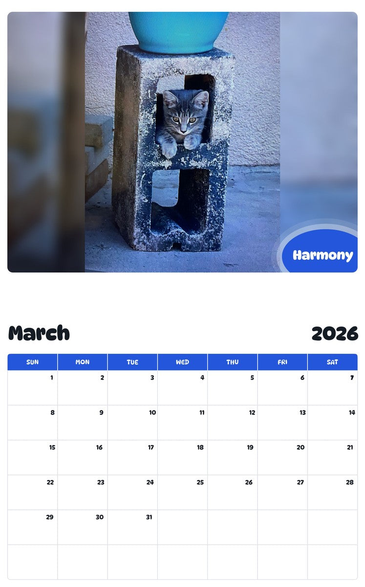 November 2025 - October 2026 Harmony - Pawidols Pet Calendar