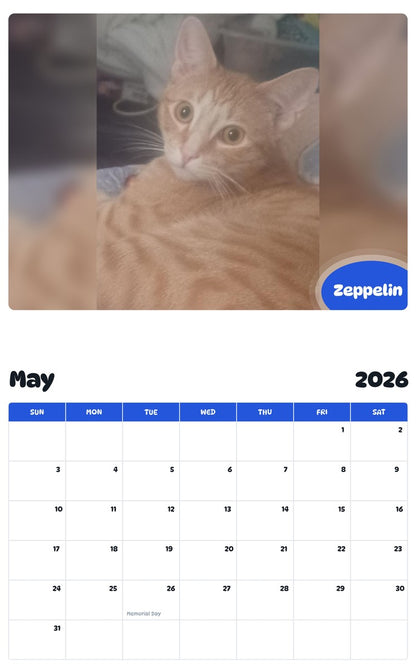 2026 - 2027 Zeppelin - Pawidols Pet Calendar