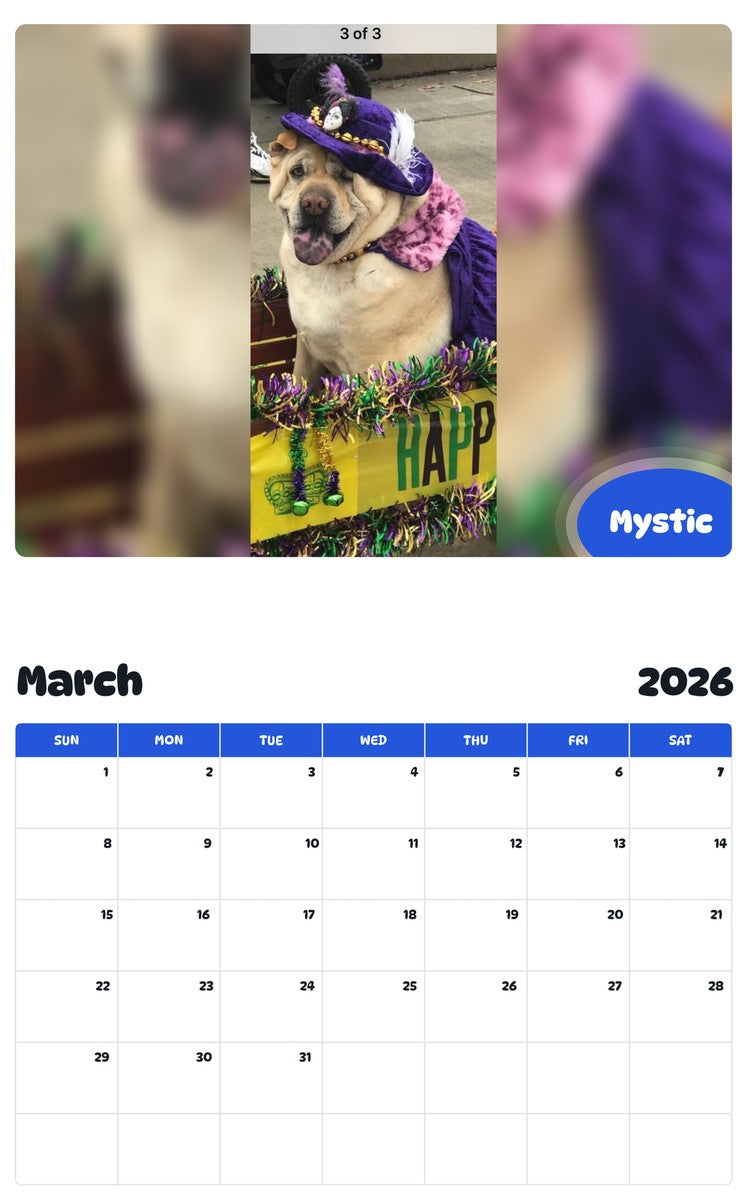November 2025 - October 2026 Mystic - Pawidols Pet Calendar