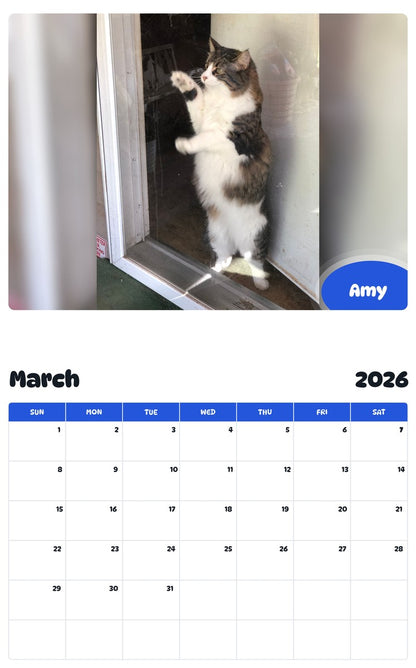 November 2025 - October 2026 Amy - Pawidols Pet Calendar