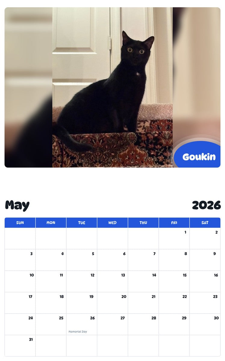 2026 - 2027 Goukin - Pawidols Pet Calendar