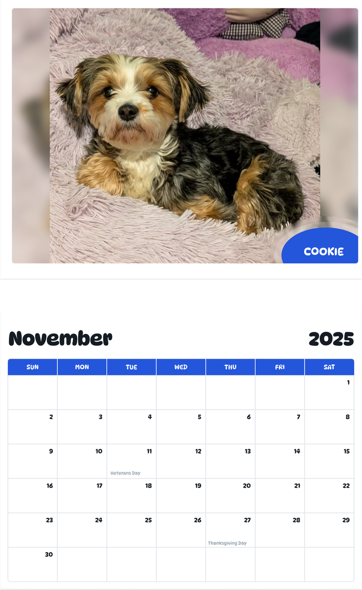 July 2025 - June 2026 Cookie - Pawidols Pet Calendar