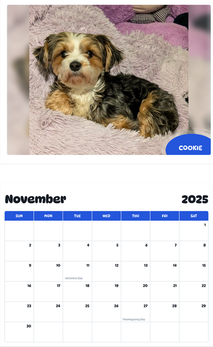 July 2025 - June 2026 Cookie - Pawidols Pet Calendar