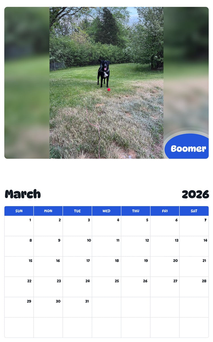 November 2025 - October 2026 Boomer - Pawidols Pet Calendar