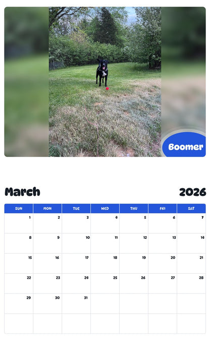 November 2025 - October 2026 Boomer - Pawidols Pet Calendar