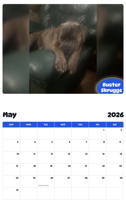 2026 - 2027 Buster Skruggs - Pawidols Pet Calendar