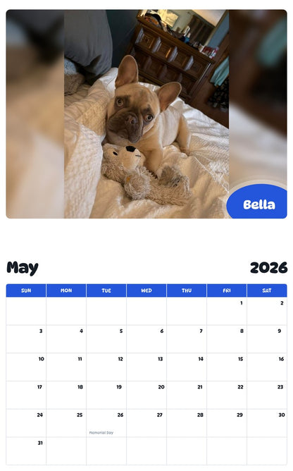 2026 - 2027 Bella - Pawidols Pet Calendar