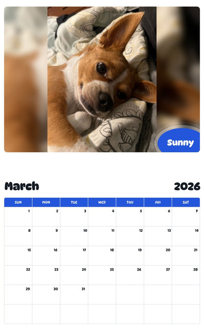 November 2025 - October 2026 Sunny - Pawidols Pet Calendar